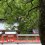 하야타마 사원과 거대한 성암