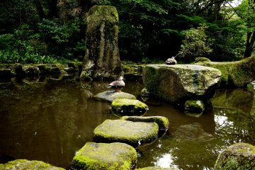 <p>Stepping stones across a pond</p>