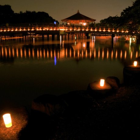 เทศกาลโคมไฟ Tokae แห่งนารา