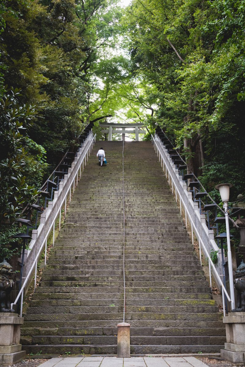 <p>The steps of success leading to the Atago Jinja Shrine</p>