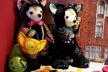 <p>Duffy и его подружка Shellie May в костюмах готовы выпрашивать сладости (trick-or-treat)</p>