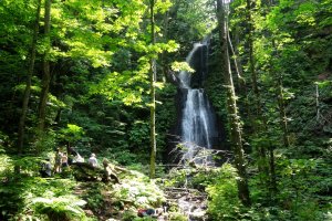 The forest scenery is punctuated by several waterfalls