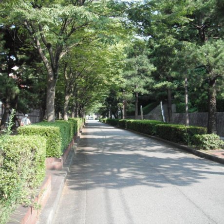 Avenue to the Art Museum, Kure