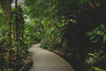 습식 열대 정원