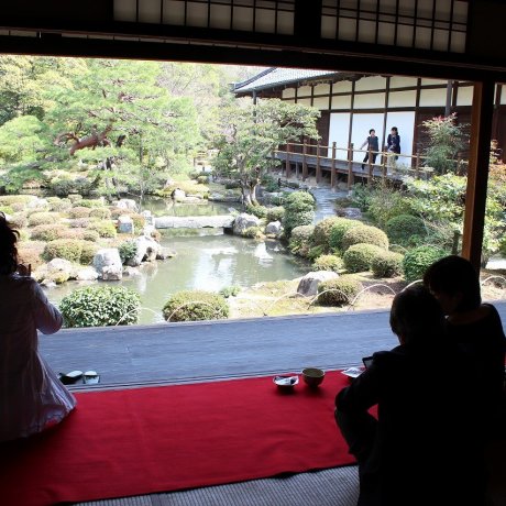 京都「等持院」