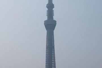 <p>Tokyo Skytree in the distance</p>