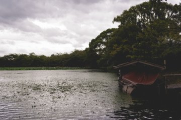 <p>The pond was made to be enjoyed by boat</p>