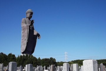 <p>The Daibutsu towers over the neighbouring graveyard</p>