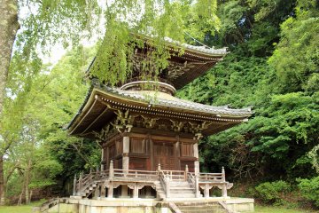 <p>The 2 story pagoda obscured by sakura leaves</p>