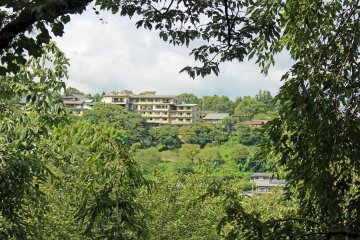 <p>The view of Yoshinoyama across the valley</p>
