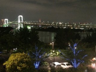 The trees light up at night for Odaiba Illumination.