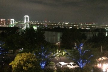 <p>The trees light up at night for Odaiba Illumination.</p>