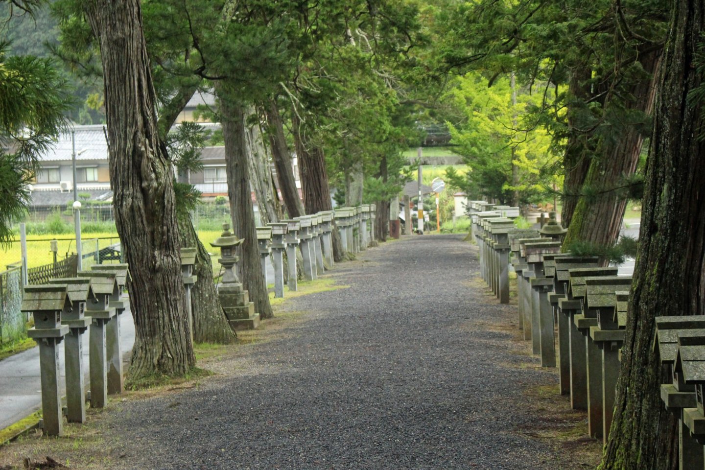 Looking down the omotesando of Mii Shrine toward the entrance torii