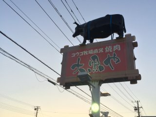 Look for the sign with the giant cow strapped to it!