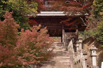 Fall Colors at Hashikura Temple