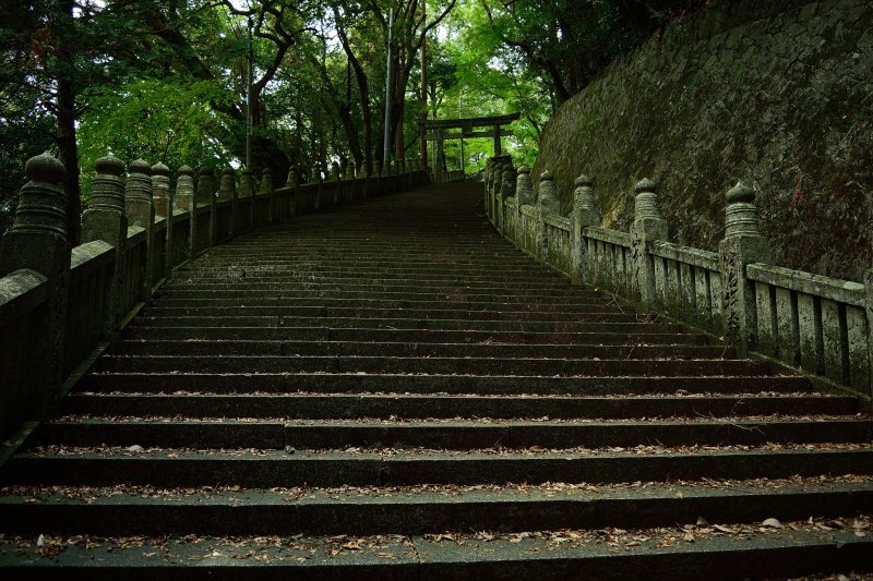 <p>The path leading to the shrine.</p>