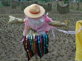 Every year, colorful scarecrows created by children from a nearby nursery school are displayed in the rice field.