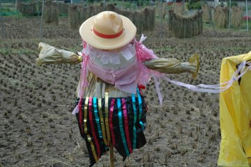 <p>Every year, colorful scarecrows created by children from a nearby nursery school are displayed in the rice field.</p>