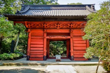 <p>A rear view of the bright and colorful Nitemon gate</p>