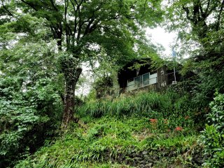 Musashiya now houses a soba restaurant - the only restaraunt in Akasawa-juku