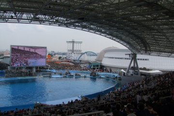 <p>One of the largest outdoor pools in the world</p>
