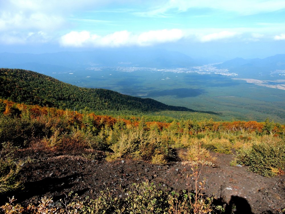 Pemandangan atas hutan Aokigahara dan Fujiyoshida
