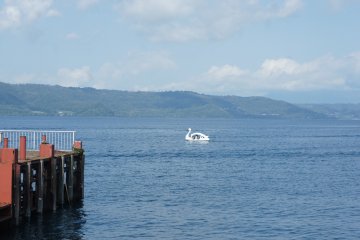 <p>A swan boat floating at Toya Lake</p>