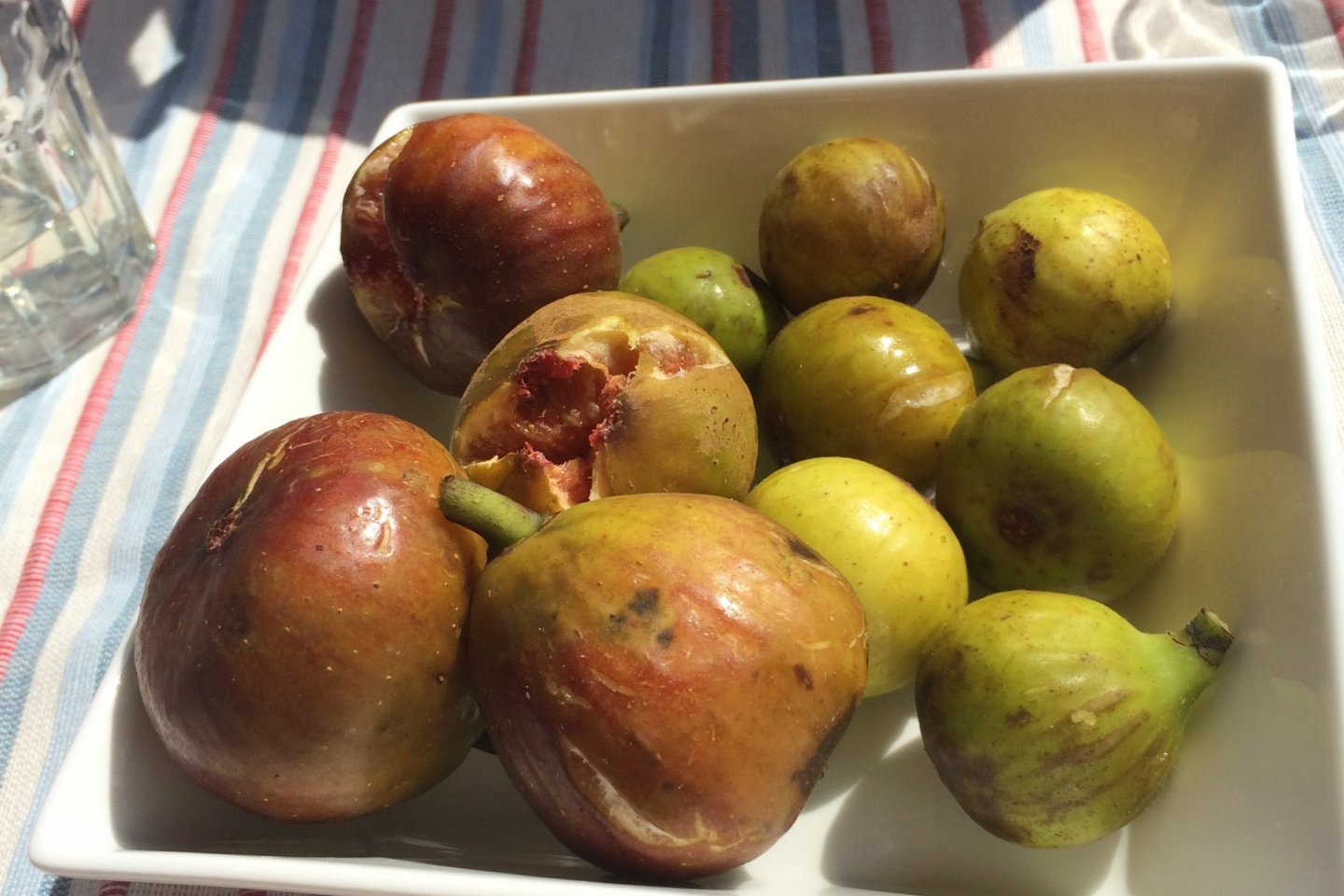 Fresh figs!