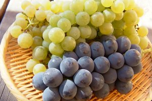 Two Kinds of Fresh Grapes