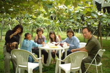 <p>Eating Grapes we picked under the Grape Vines</p>