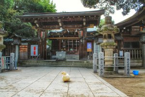 The main building of Shitaya Shrine and the goose in front