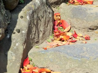 Daun-daun merah mengalasi tangga naik ke kuil kastil
