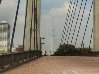 From the bridge you can see Tokyo Skytree