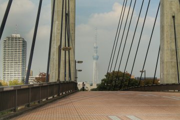 คุณสามารถมอเห็นโตเกียวสกายทรีใต้จากบนสะพาน