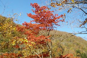 Daerah ini terkenal dengan warna-warna musim gugurnya