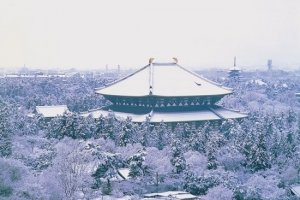 Balai The Great Buddha di Todaiji terlihat di antara wilayah lain saat musim dingin
&nbsp;