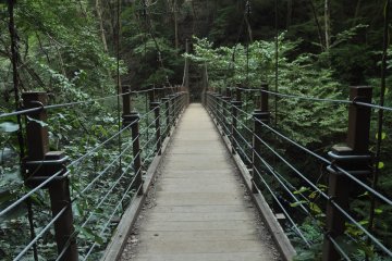<p>The wooden bridge of Trail 4 that connects the mountain-top to the mid-station</p>