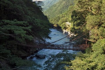 <p>Walking down from the Yume-butai Parking Lot, visitors can view the bridge from above.</p>
