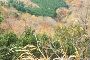 Warna-warni musim gugur di sepanjang jalur pegunungan