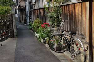 전형적인 옛 동네의&nbsp;한가로운 풍경. 마당을 대신해 조르륵 놓여 있는 정갈한 화분과 최고의 대중교통수단인 자전거.