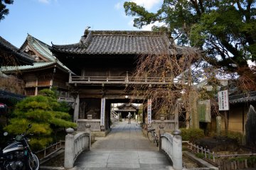 <p>The temple gate of temple&nbsp;<span style="line-height: 20.8px;">#19</span></p>
