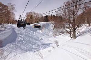 Menjangkau area bermain ski di Prefektur Niigata menjadi mudah dengan Tokyo Wide Pass