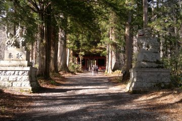 <p>The inner entrance of the shrine, also marks the start of majestic cedar-lined path (杉並木; suginamiki).</p>