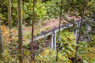 <p>Everywhere you look there are reminders of this defunct railway like this bridge overgrown with dense vegetation</p>