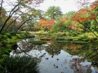 One of the highlight&#39;s of the garden is the beautiful pond