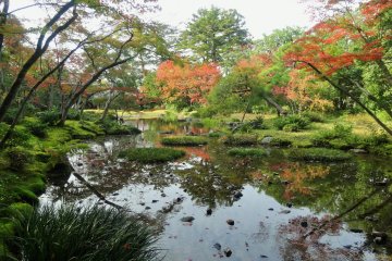 <p>One of the highlight&#39;s of the garden is the beautiful pond</p>