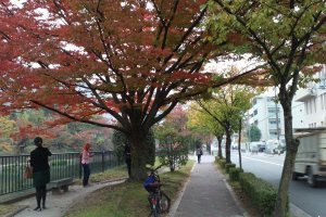 Suasana di salah satu sudut jalan di Kyoto ketika memasuki musim gugur