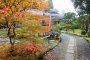 Autumn Leaves at Danrin-ji