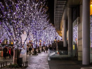 Melapisi jalanan utama Roppongi, pemandangan ini menjadi tambahan yang ideal untuk malam musim dingin.
