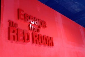 Escape from the RED ROOM!
